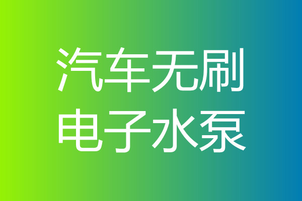 汽車(chē)無(wú)刷電子水泵